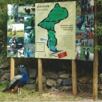 That Dutchmans Cheese Farm